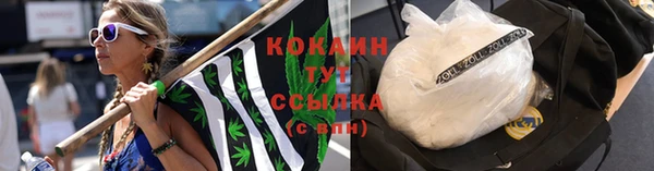 мдпв Володарск