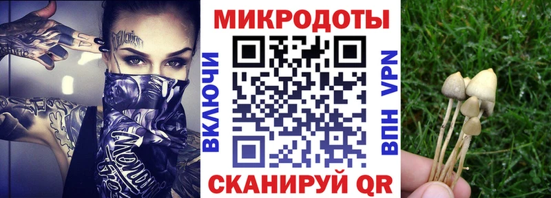Псилоцибиновые грибы Magic Shrooms  Кызыл 